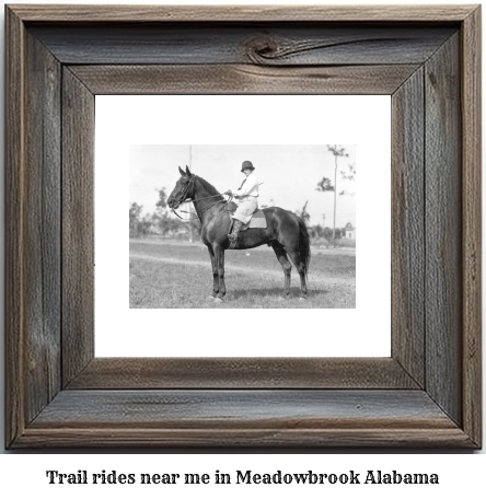 trail rides near me in Meadowbrook, Alabama